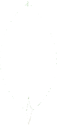 9Finite Solutions Mongo DB